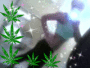 PLANT IT 2