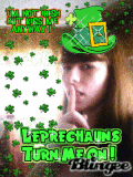 st.patty