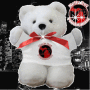 NeLLy Boi Productionz bear 