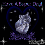 have a super day
