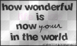 how wonderful