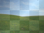 GRASS