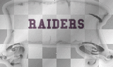 raiders skull