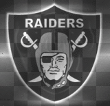 RAIDERS