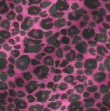 leopard leopard