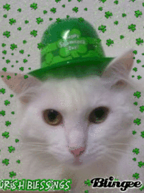 Irish Alva