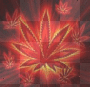 Rd Weed
