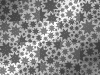 starz/black