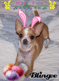 tinky easter eggs