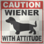 attitude