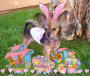 tink easter 