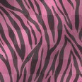 zebra zebra