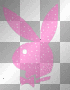 playboy