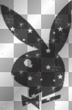 play boy 