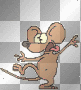 a rat