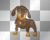 doggy