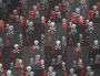 red & black skullz