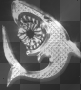The Crunk Shark