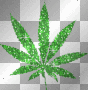 Pot Leaf