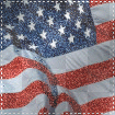 USA Flag Glitter