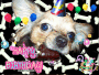 happy birthday Rico
