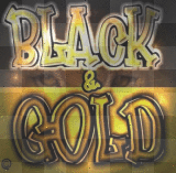 BLACK AND GOLD NEVA FOLD 