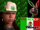 mz.gigglez