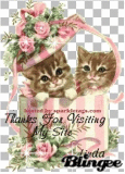 thanks for the visit