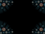 netwinner