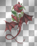 Red Rose Dragon