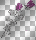 Purple Rose