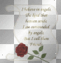 believe in angels
