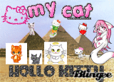 cats