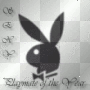 Playmate of the Year