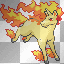 rapidash