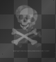 flashy skully