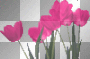 flowers.