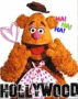 HOLLYWOOD FOZZY