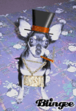Bandido