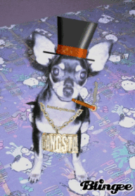 Bandido
