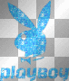 Blue Playboy