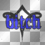 bitch