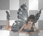FAIRY