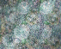 glitter