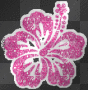 Hawaii flower