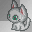 tiny cat