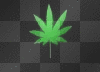 weed 