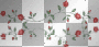 Rose Animation, Water, Sparkle