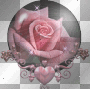 ROSE, HEART, SPARKLE, LOVE, HAPPY, PINK, CIRCLE