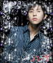 kibum